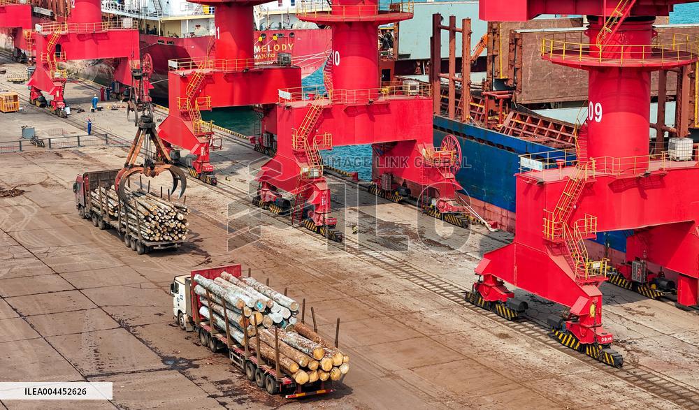 Largest Timber Import Port Rizhao Port in China