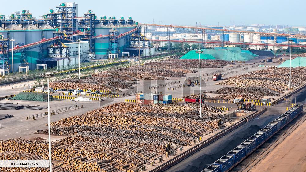 Largest Timber Import Port Rizhao Port in China