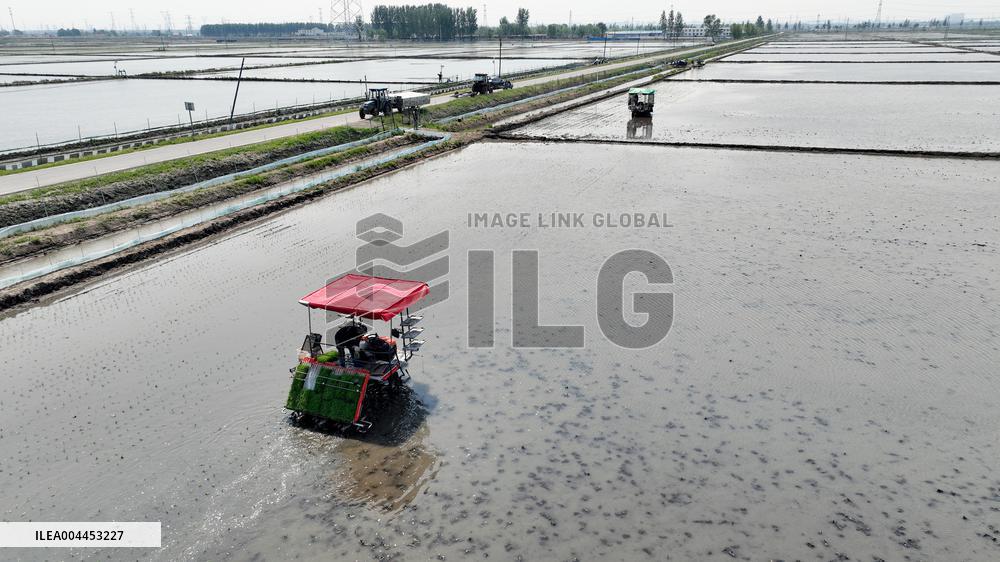 Smart Agriculture in Shenyang