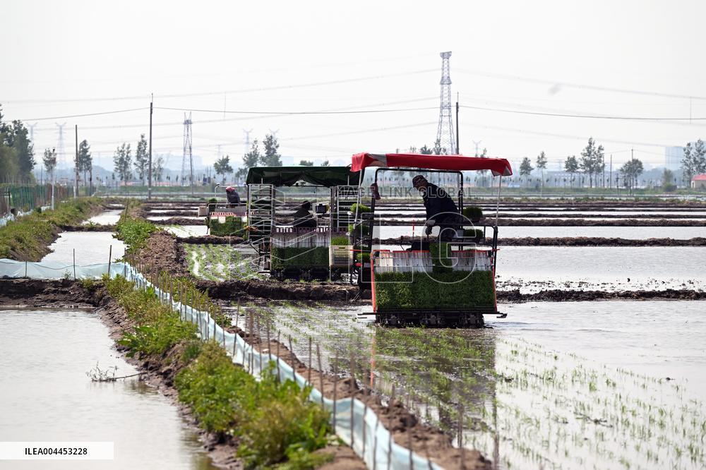 Smart Agriculture in Shenyang