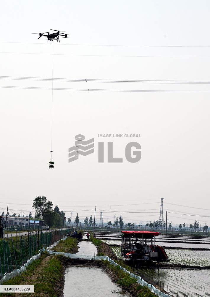 Smart Agriculture in Shenyang