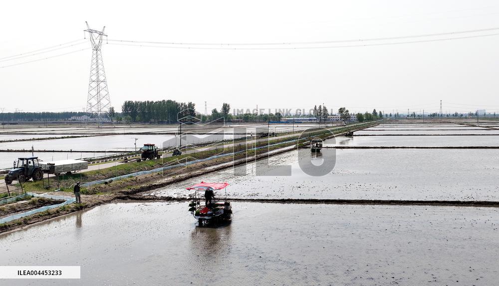 Smart Agriculture in Shenyang