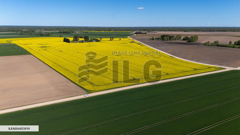 Agricultural landscape