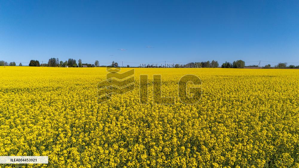 Agricultural landscape