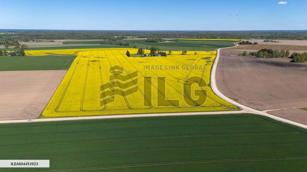 Agricultural landscape