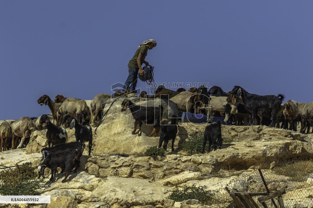 Settlers' Harrasement Forces Palestinians to Leave