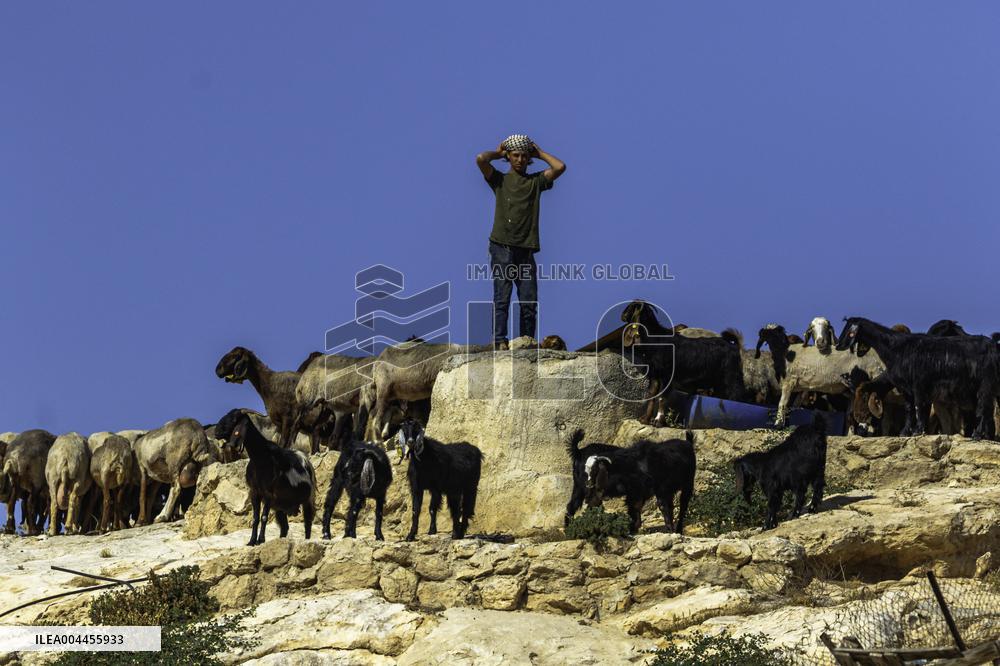 Settlers' Harrasement Forces Palestinians to Leave