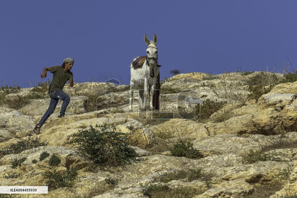 Settlers' Harrasement Forces Palestinians to Leave