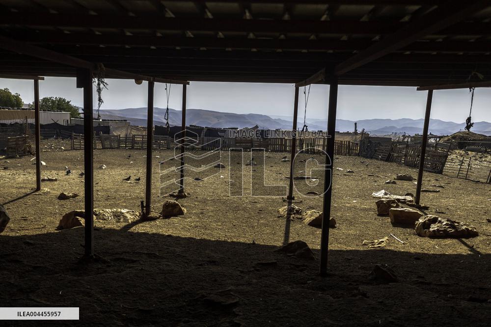 Settlers' Harrasement Forces Palestinians to Leave