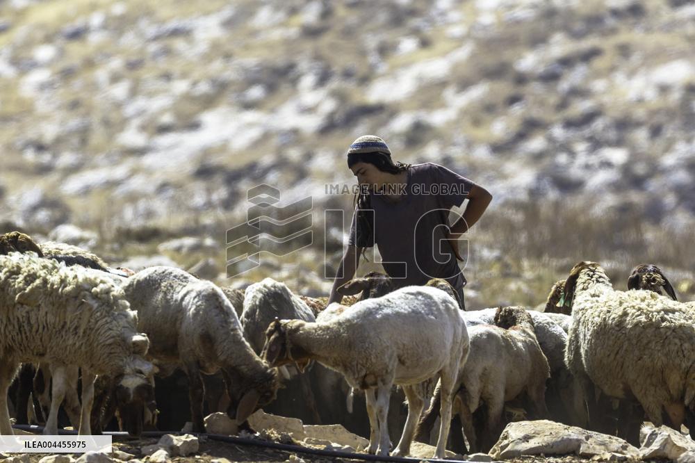 Settlers' Harrasement Forces Palestinians to Leave