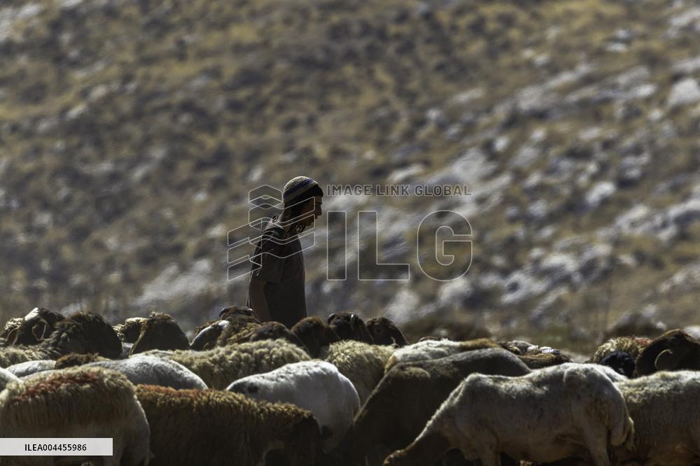 Settlers' Harrasement Forces Palestinians to Leave