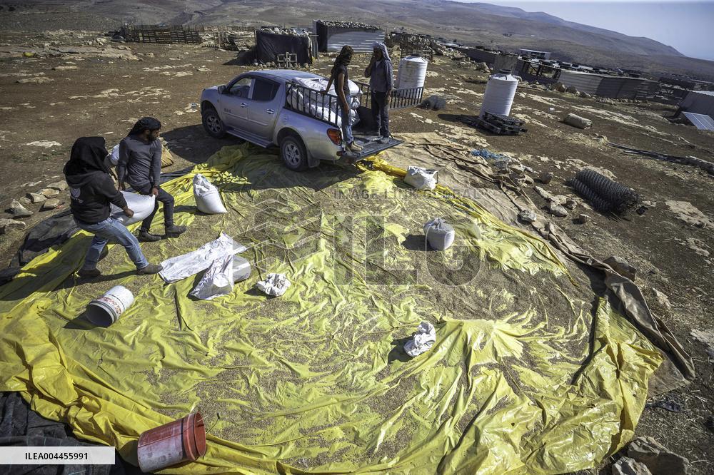 Settlers' Harrasement Forces Palestinians to Leave