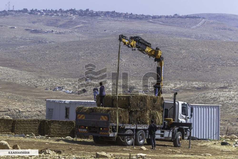 Settlers' Harrasement Forces Palestinians to Leave
