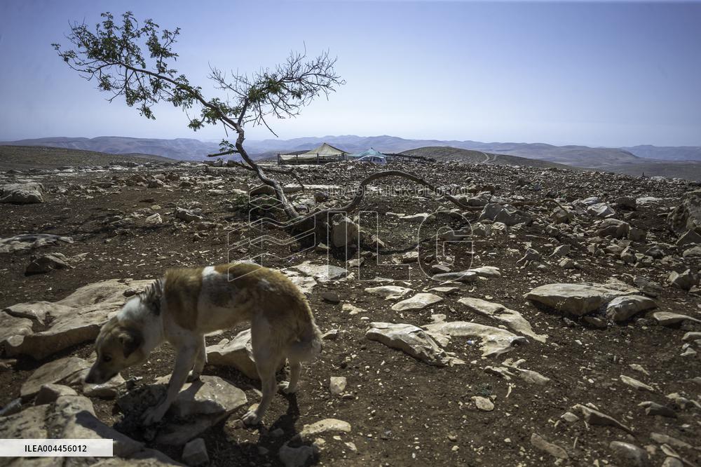 Settlers' Harrasement Forces Palestinians to Leave