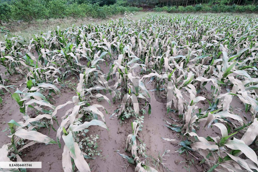 Rainstorm Hit Liuzhou