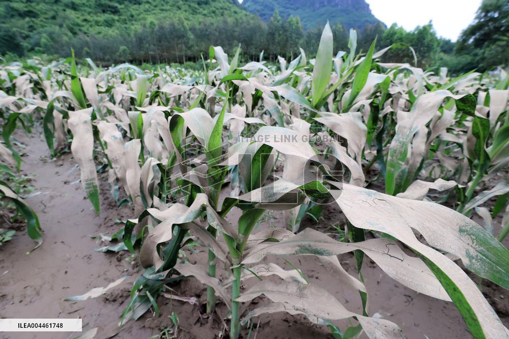 Rainstorm Hit Liuzhou