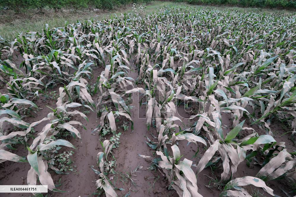 Rainstorm Hit Liuzhou