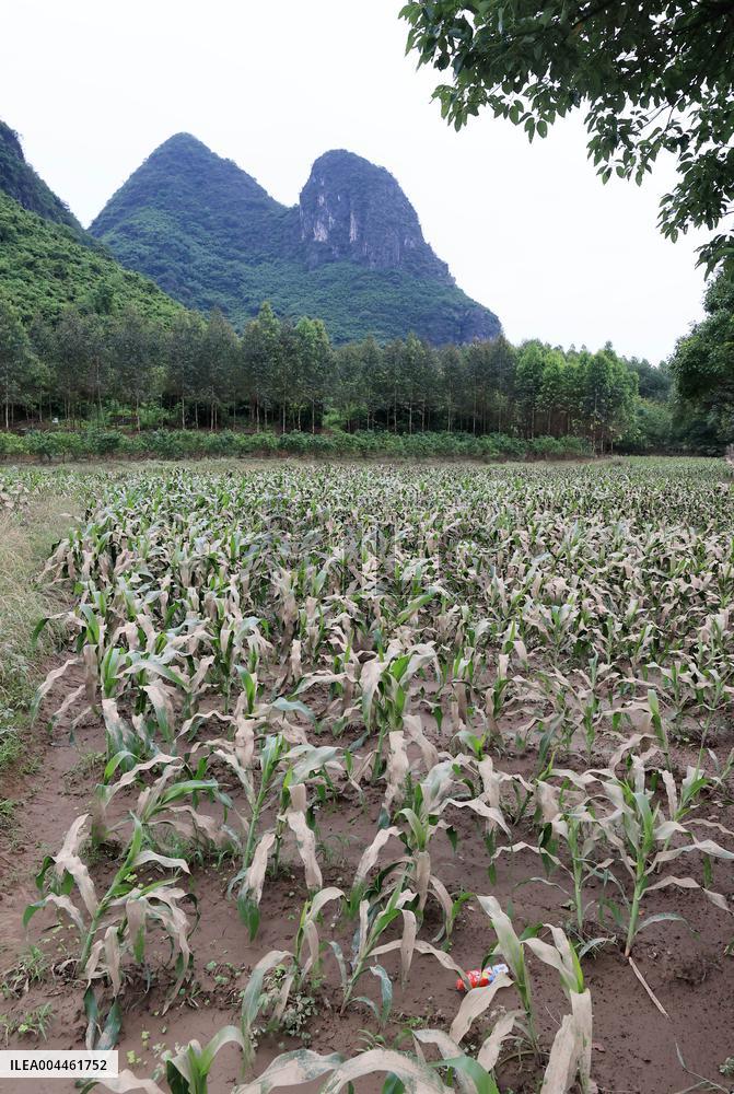 Rainstorm Hit Liuzhou