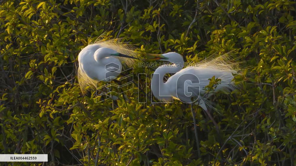 Environment Improve In China