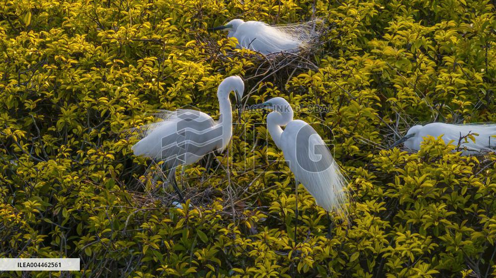 Environment Improve In China