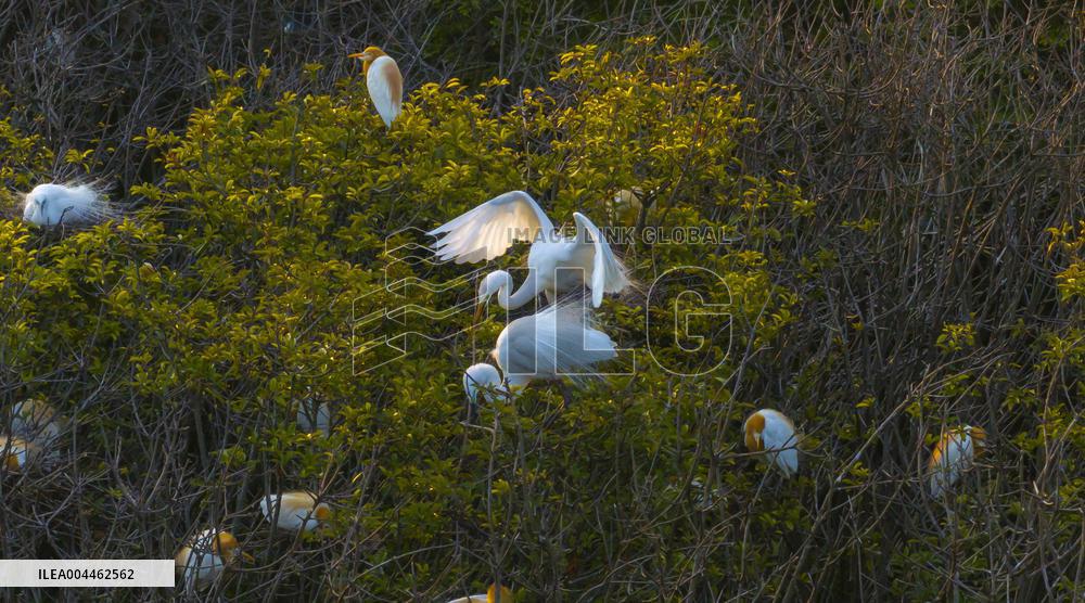 Environment Improve In China