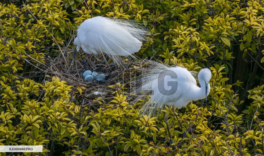 Environment Improve In China