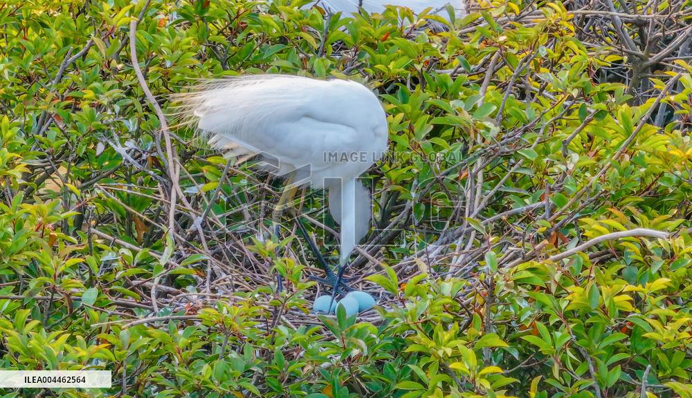 Environment Improve In China