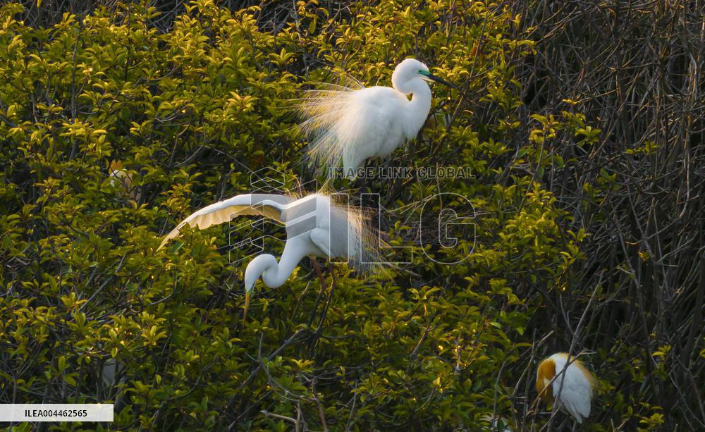 Environment Improve In China