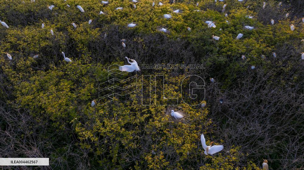 Environment Improve In China