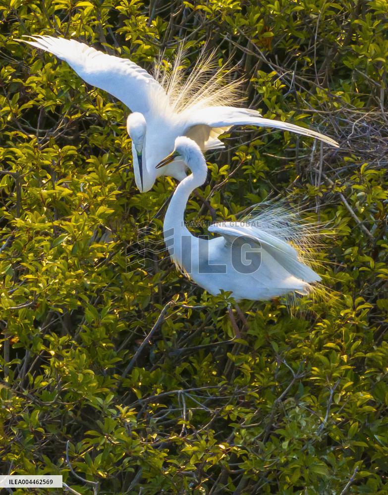 Environment Improve In China