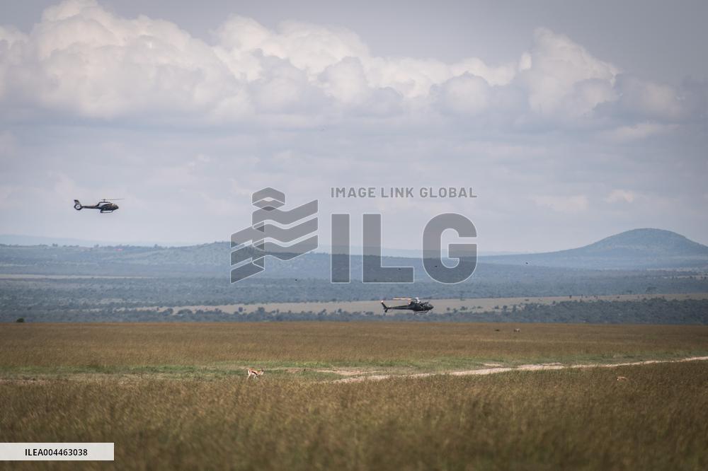 Black Rhino Translocation in Laikipia - Kenya
