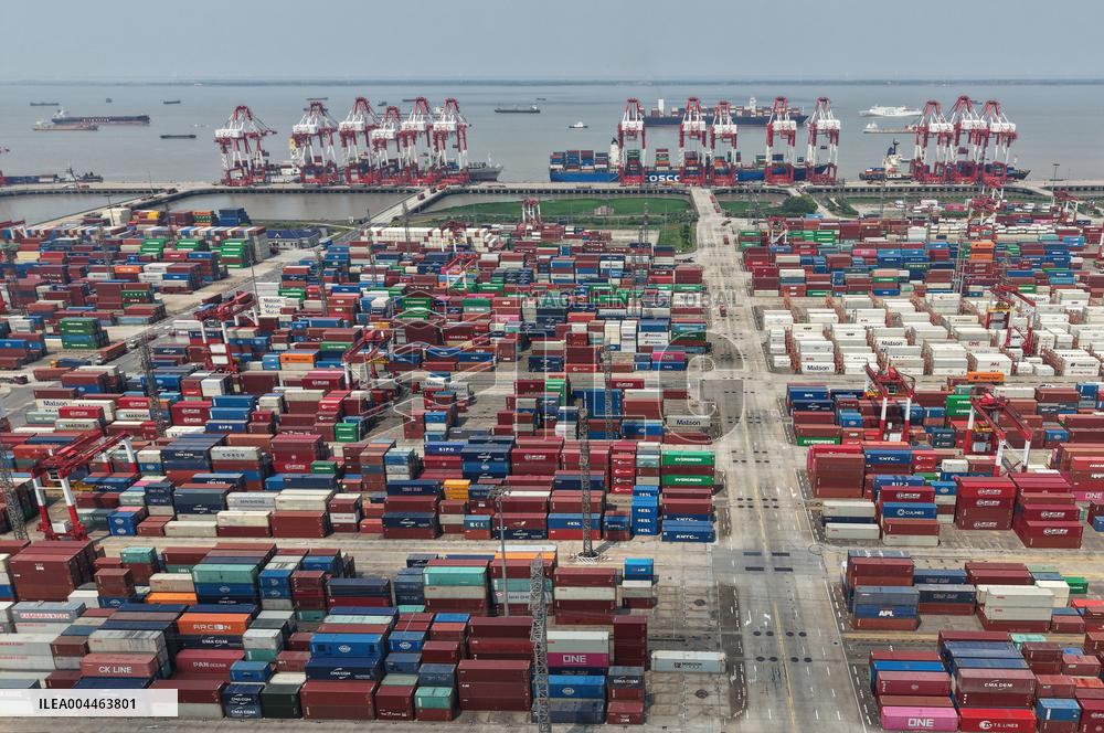 China Export Container Transportation Market