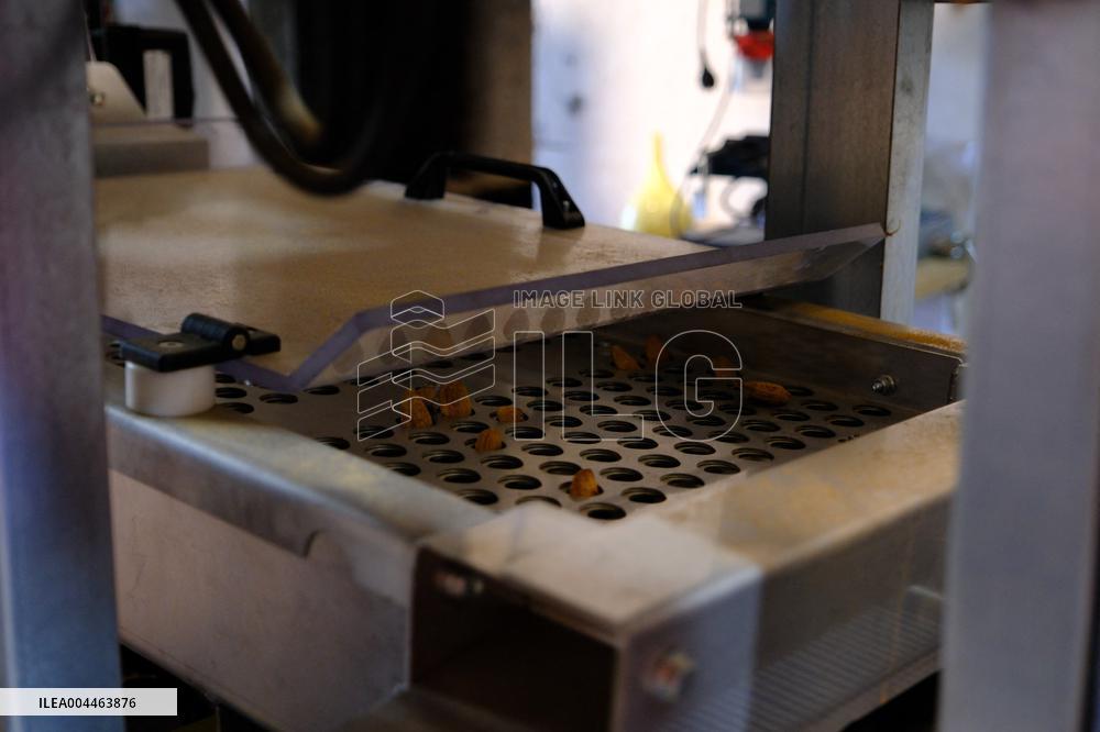 Organic Almond Tree Farm - France