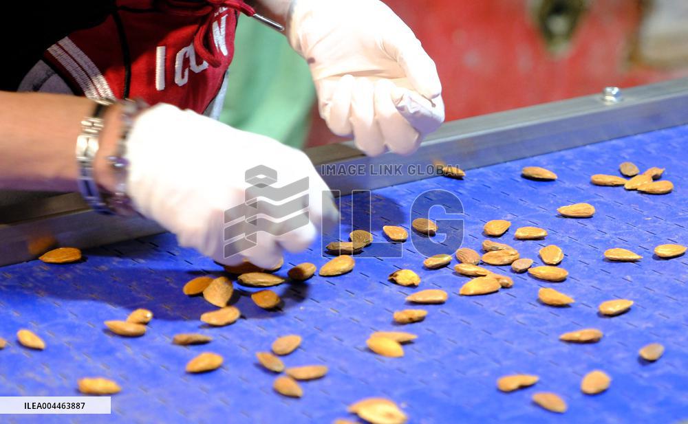 Organic Almond Tree Farm - France