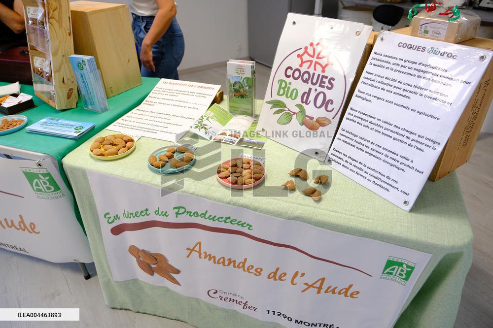 Organic Almond Tree Farm - France