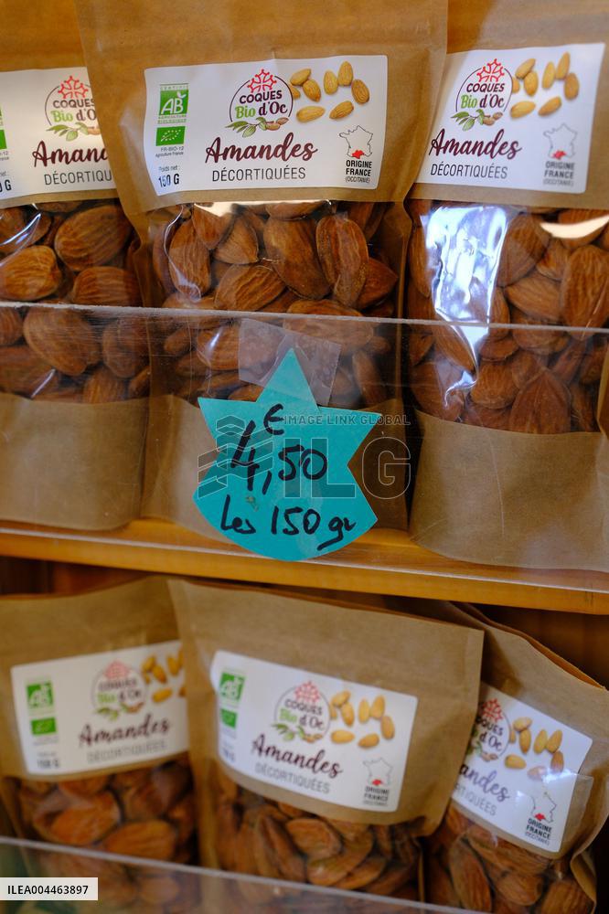 Organic Almond Tree Farm - France