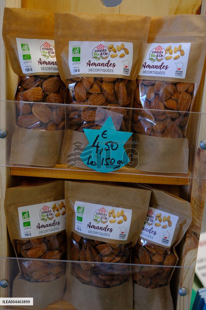 Organic Almond Tree Farm - France