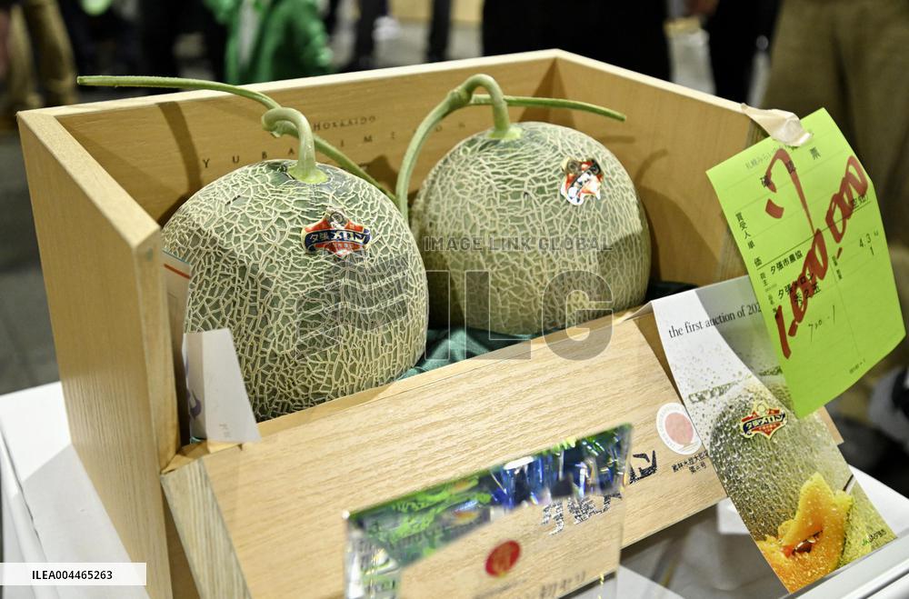 Premium melons from Hokkaido