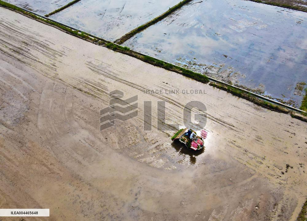 High Standard Farmland Construction