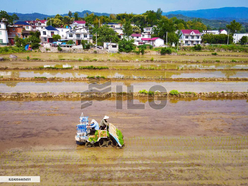 High Standard Farmland Construction
