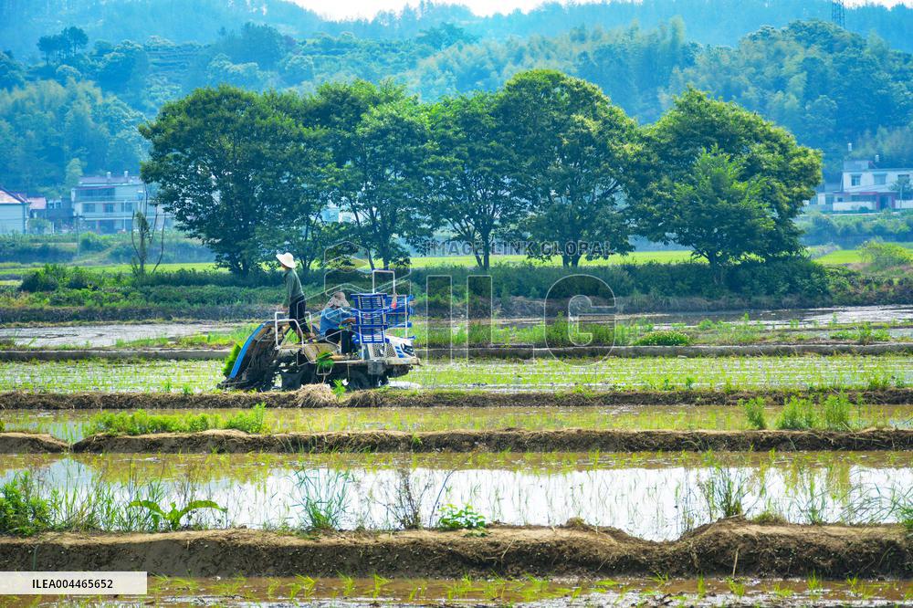 High Standard Farmland Construction