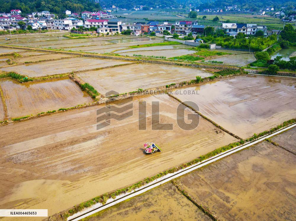 High Standard Farmland Construction