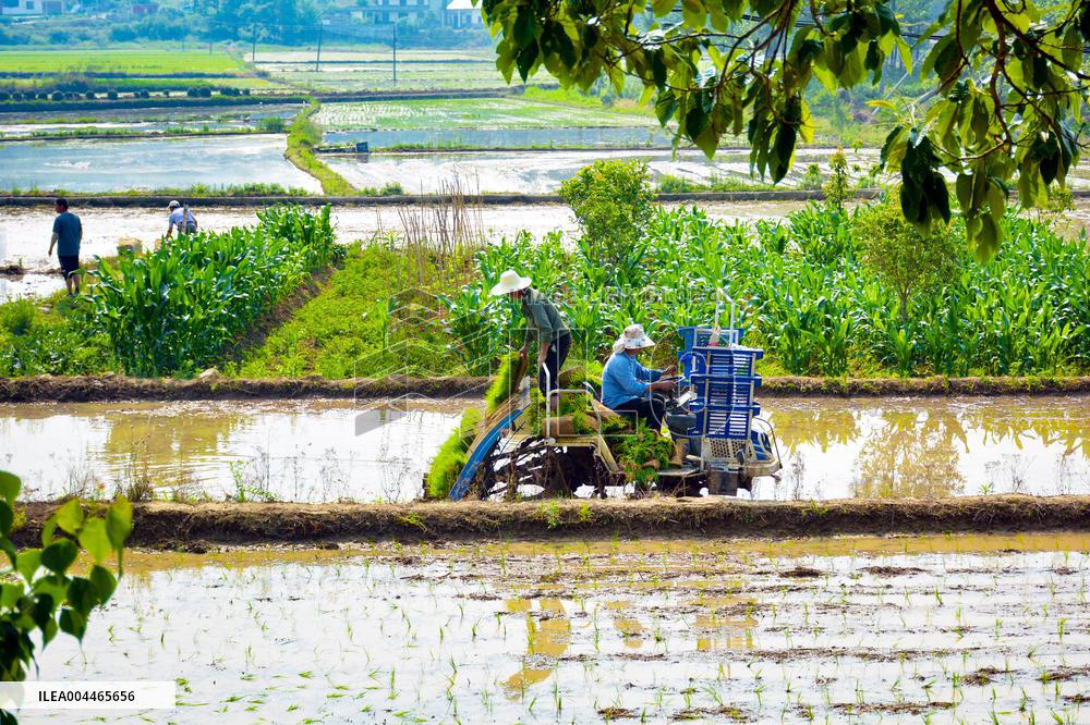 High Standard Farmland Construction