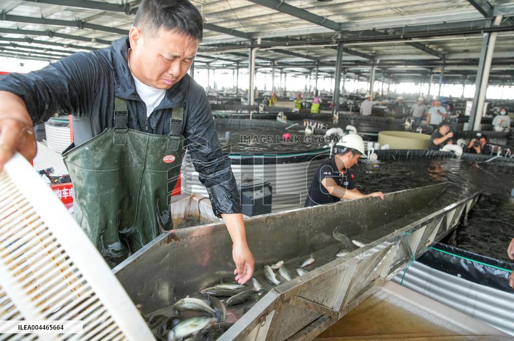 Digital Fish Warehouse in Huzhou