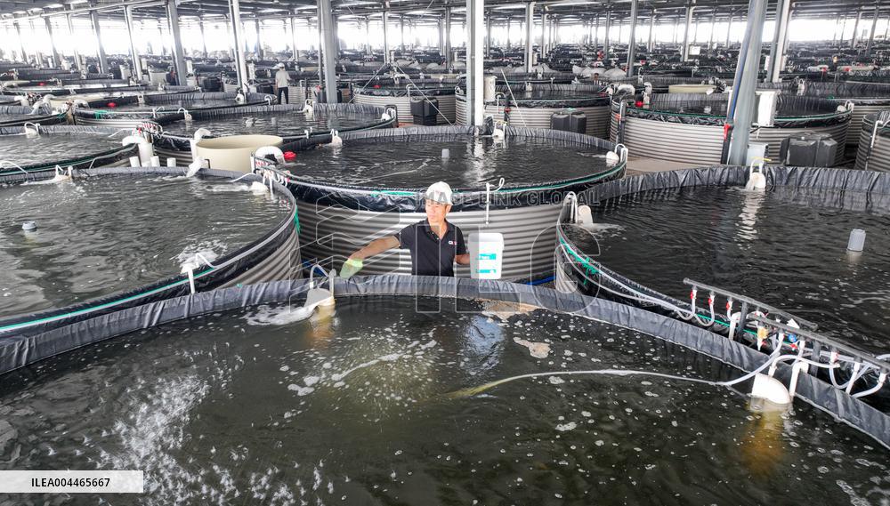 Digital Fish Warehouse in Huzhou