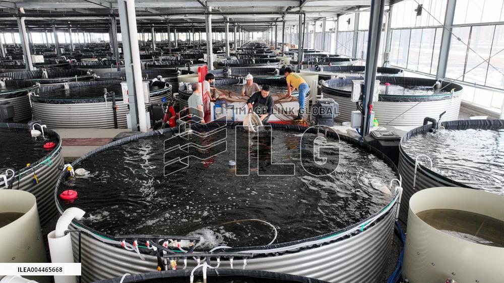 Digital Fish Warehouse in Huzhou