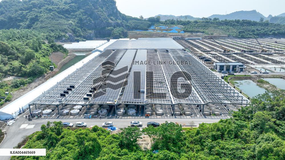 Digital Fish Warehouse in Huzhou