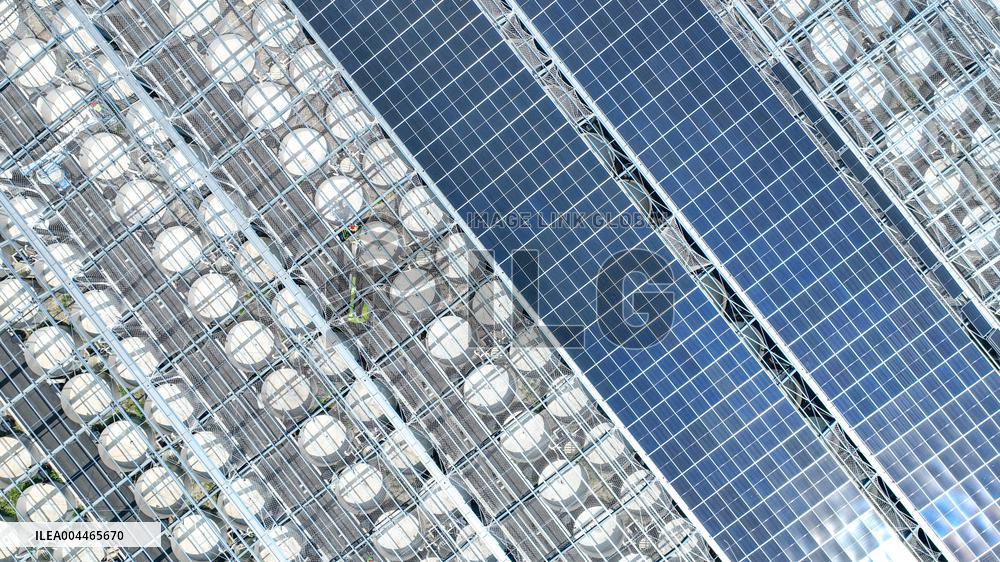 Digital Fish Warehouse in Huzhou