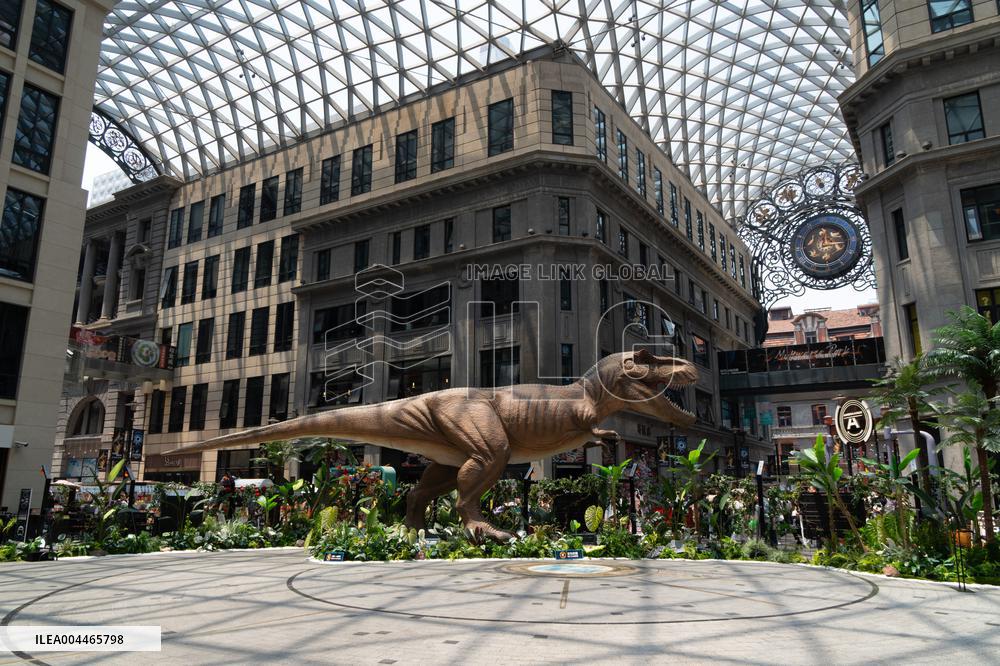 Digital Experience Activity in Shanghai