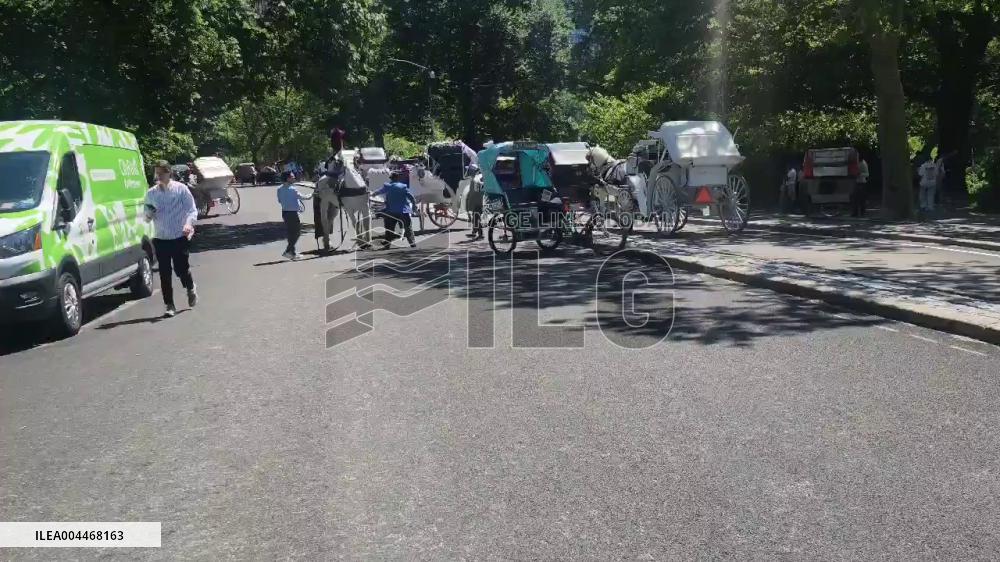 US: Horse-Drawn Carriages Collide in Central Park, Drivers Taken to Hospital